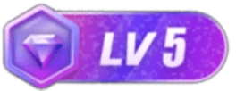 等级-LV5-快云博客