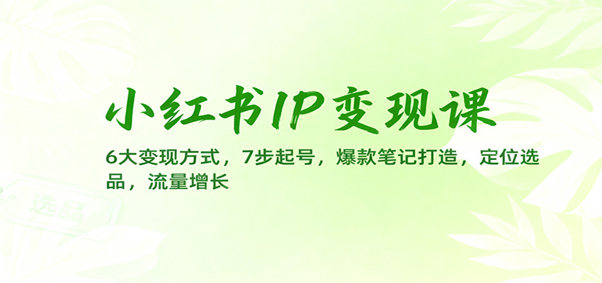 小红书IP变现课：6大变现方式，7步起号，爆款笔记打造，定位选品，流量增长-快云博客