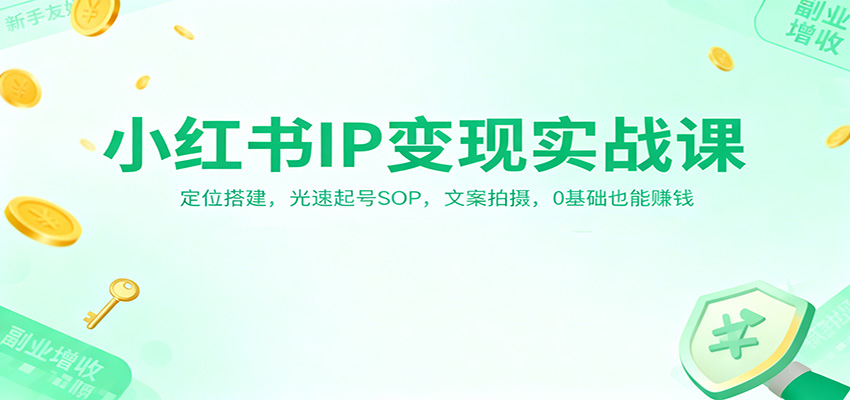 小红书IP变现实战课：定位搭建，光速起号SOP，文案拍摄，0基础也能赚钱-快云博客