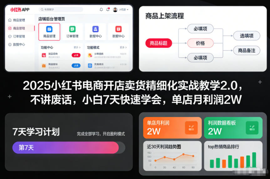 2025小红书电商开店卖货精细化实战教学2.0,不讲废话,小白7天快速学会,单店月利润2W-快云博客