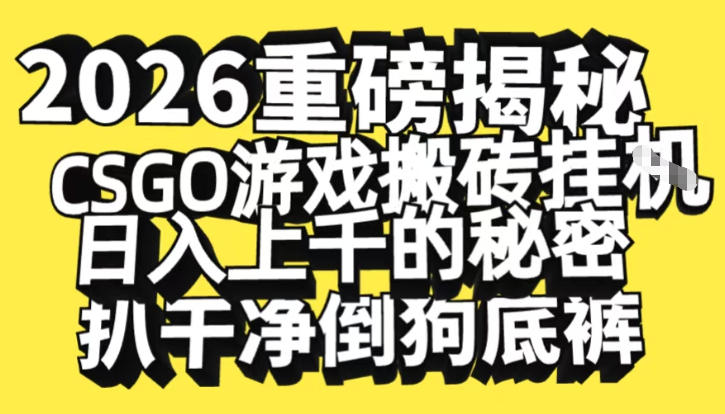 2026开年重磅解密，CSGO游戏搬砖挂G日入1k+的秘密，把倒狗的底裤扒干【揭秘】-快云博客