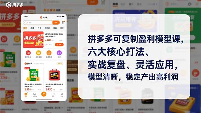 拼多多可复制盈利模型课，六大核心打法、实战复盘、灵活应用，模型清晰，稳定产出高利润-快云博客