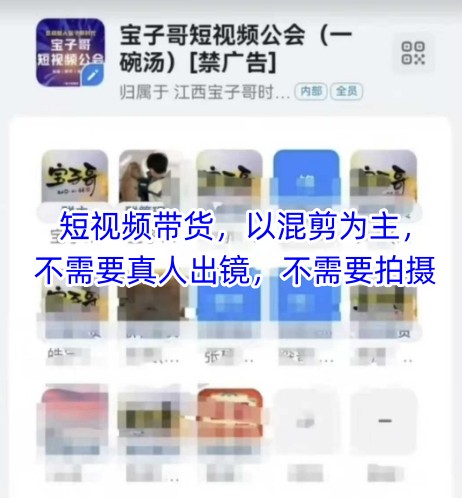 宝子哥头部团队短视频带货，以混剪为主，不需要真人出镜，不需要拍摄【更新12月】-快云博客