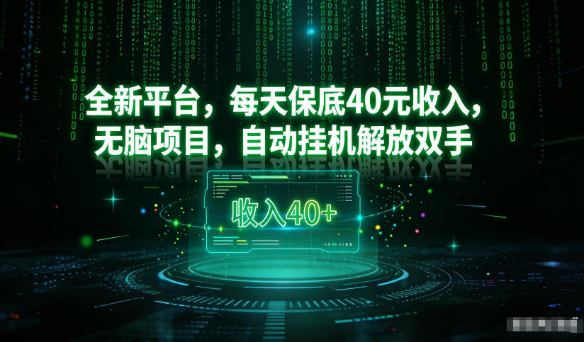 最新看广平台，每天保底30-4米，无脑项目，自动挂G解放双手【揭秘】-快云博客