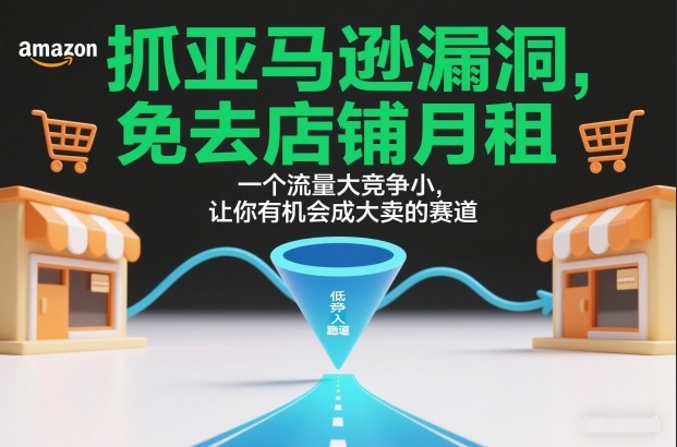 抓亚马逊漏洞，免去店铺月租，一个流量大竞争小，让你有机会成大卖的赛道-快云博客