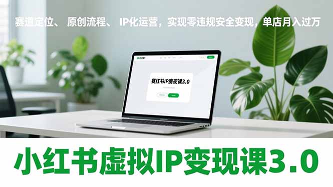 小红书虚拟IP变现课3.0，赛道定位、原创流程、IP化运营，实现零违规安全变现，单店月入过万-快云博客