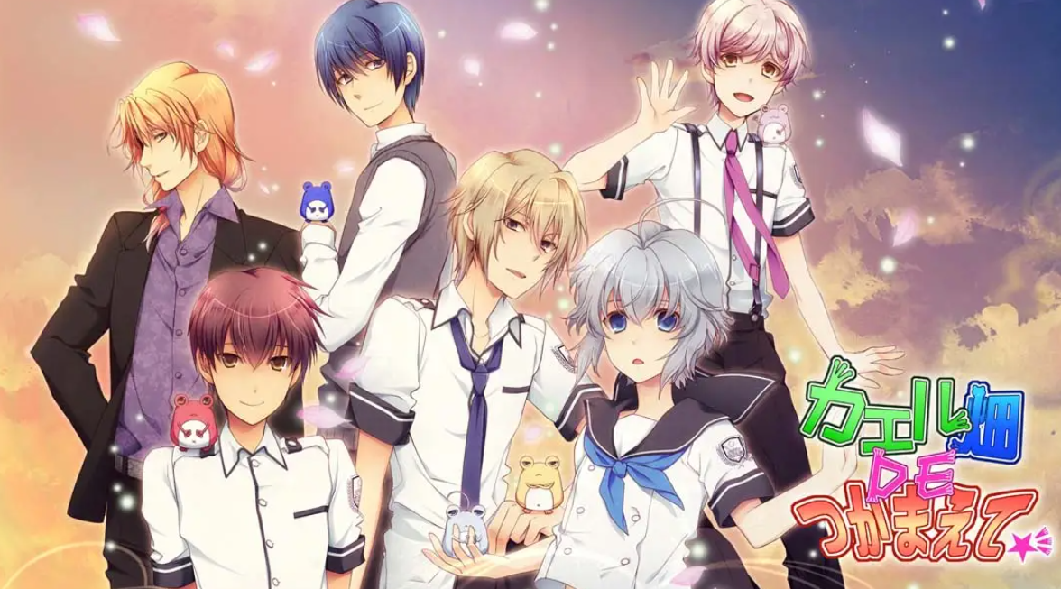 《蛙畑奇事 カエル畑DEつかまえて 乙女》Switch日文版XCI下载 – 含1.0.0补丁-快云博客