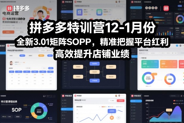 拼多多特训营12-1月份，全新3.01矩阵Sop，精准把握平台红利，高效提升店铺业绩-快云博客